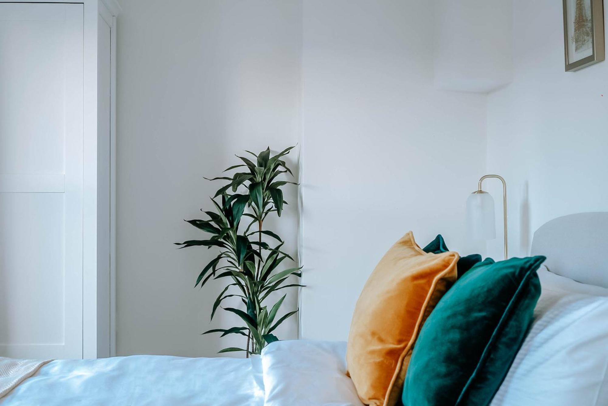 Mayfield Three - Central Harrogate Apartment Ngoại thất bức ảnh
